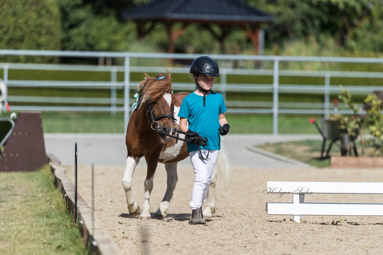 Bild 196 - Pony Akademie Turnier